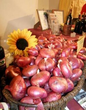Cipolle di Certaldo 