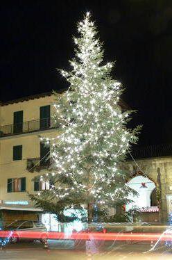 Anche quest’anno tornerà l’albero a San Marcello?