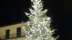 Anche quest’anno tornerà l’albero a San Marcello?