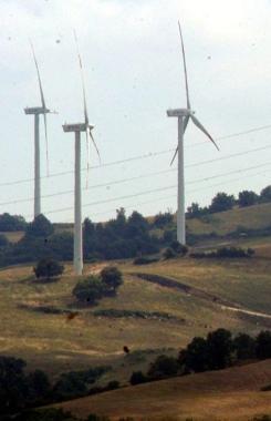 Un parco eolico di grosse dimensioni     