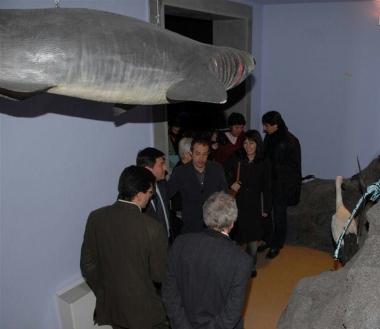 <b>MUSEO DI STORIA NATURALE </b>Ospita la rassegna di documentari Mammalia     