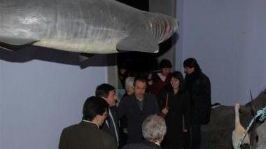 <b>MUSEO DI STORIA NATURALE </b>Ospita la rassegna di documentari M’ammalia