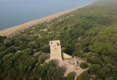 <b>VISITE GUIDATE </b>Alla torre di Collelungo nel Parco della Maremma    
