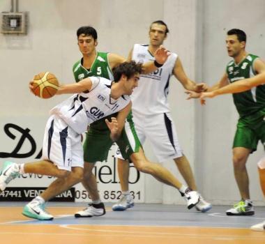 Malvone in azione   