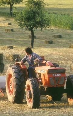 Già avviato quello delle aziende agricole