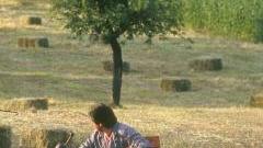 Già avviato quello delle aziende agricole