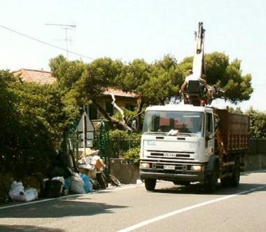 «Trasparenza su Rea lo dice una sentenza»