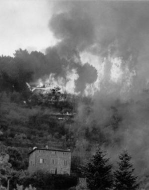 Un incendio di bosco (Vip) 