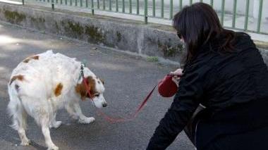 Sacchetto e paletta obbligatori per chi porta a spasso il cane