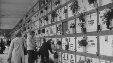 Il cimitero comunale di Cecina