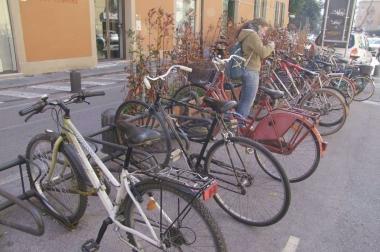 Biciclette di vari tipi in una rastrelliera 