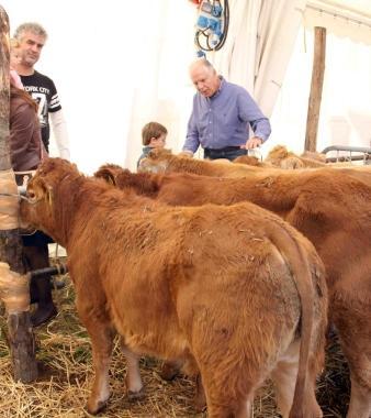 Uno stand di animali presente alla fiera  