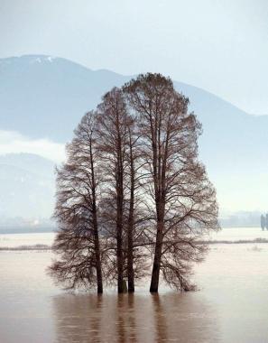 Unimmagine dellalluvione che ha colpito Versilia e Lucchesia prima del Natale 2009      
