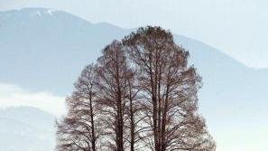 Un’immagine dell’alluvione che ha colpito Versilia e Lucchesia prima del Natale 2009