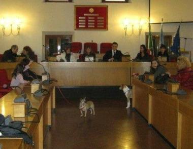 Lingresso dei cani in consiglio comunale 