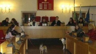 L’ingresso dei cani in consiglio comunale