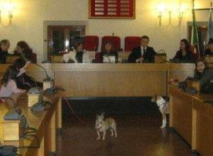 Tanti consensi da tutta Italiaper lo sportello degli animali
