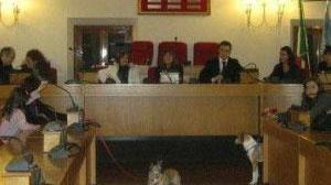Tanti consensi da tutta Italiaper lo sportello degli animali