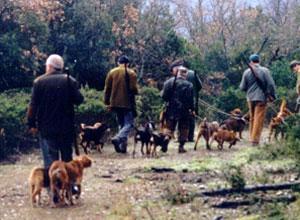 Muore nel bosco a 37 anni