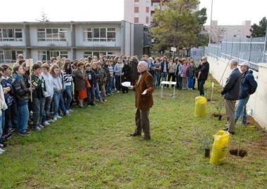 Piantati gli alberelli 