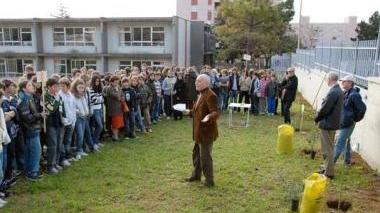 Piantati gli alberelli