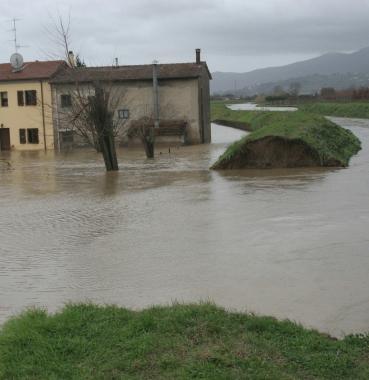 On line i contributi erogati dalla Regione