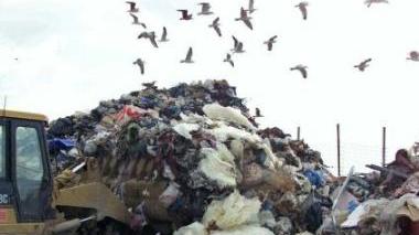 L’azienda Delca tratta rifiuti