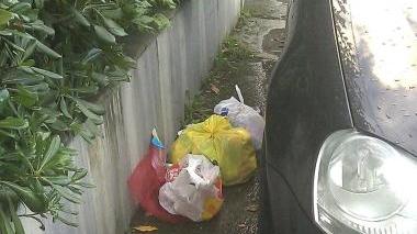 I sacchetti di via Bigioni