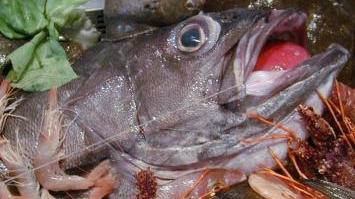 Il pesce, uno degli ingredienti della cucina locale