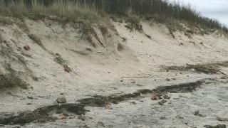 Uno dei cumuli di detriti che stanno affiorando nella zona delle Spiagge bianche A destra la lingua di sabbia che si sta riducendo sempre di più anno dopo anno