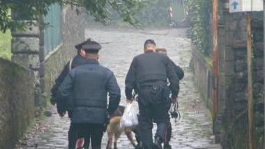 Anche le unità cinofile nella caccia all'assassino