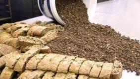 I cantuccini pistoiesi