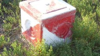 <b>ERBACCE </b>Nella zona dell’ex Solmine a Scarlino Scalo