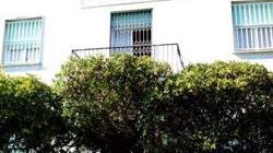 Grillandini, ordinata la chiusura