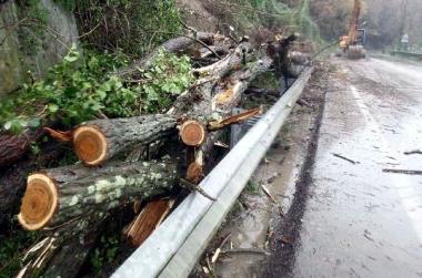 Il punto sulla strada di Fornola dove &egrave; avvenuta la tragedia 