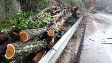 Il punto sulla strada di Fornola dove è avvenuta la tragedia