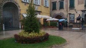 Mercato di Natale medievale in piazza Cittadella