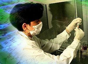 «Vi sembrano pochi 622 morti?»