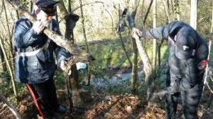Uno scheletro umano nel bosco