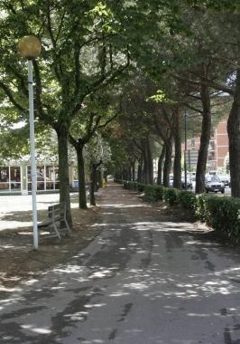 La pista ciclabile nel viale Galilei 
