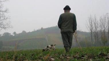 Sette multe a cercatori di tartufi