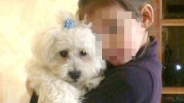 Dopo il furto delle slot machine i ladri portano via anche un cucciolo di cane