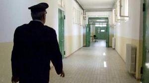 «Se mi fate lavorare, non delinquo»