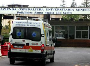 Cade da sei metri d'altezza, vivo per miracolo