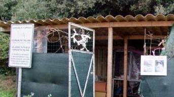 La colonia felina a Calamoresca