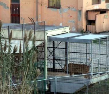 «Revocate questa scellerata autorizzazione»