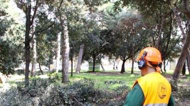 Sopra potature, a destra l’isola ecologica di Vaiano