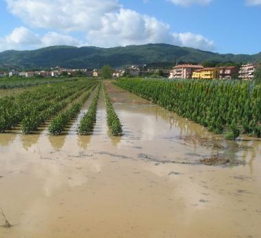 Cassa di espansione per il torrente Stella finiti i lavori