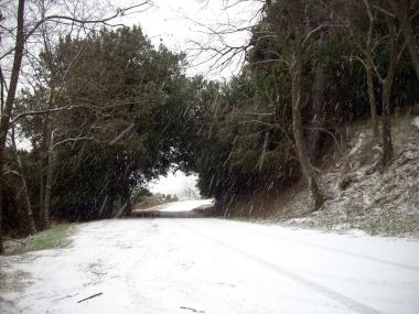 Un mezzo spargisale sulla strada per Marciana e alcuni tratti della viabilit&agrave; provinciale innevati 