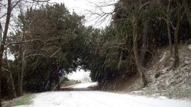Un mezzo spargisale sulla strada per Marciana e alcuni tratti della viabilità provinciale innevati